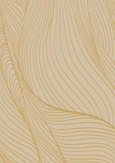 section_bg